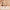 SHESHINE Tri-Color Concealer